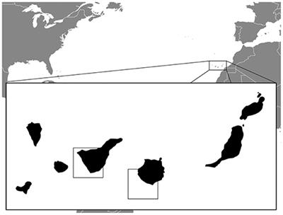 Using Automatic Identification System (AIS) Data to Estimate Whale Watching Effort